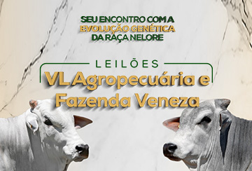 LEILÃO VL AGROPECUÁRIA E FAZENDA VENEZA - TOUROS PREMIUM